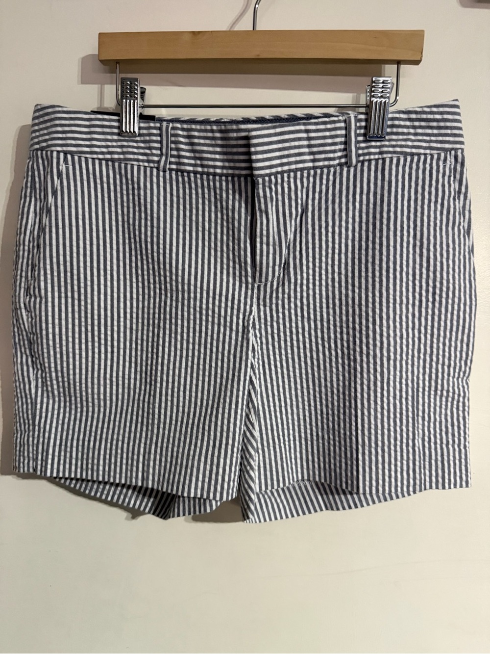 BNWT Women’s Banana Republic White And Blue 5” Short Size 0